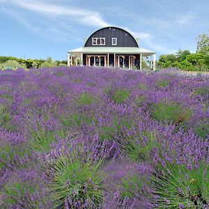 Lavender Hill Bed & Breakfast Riverhead Exterior photo