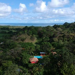 El Nido Rojo Bed & Breakfast Samara Exterior photo