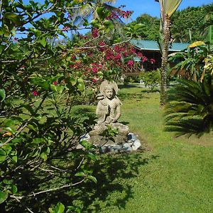 J And H Garden Cabinas Apartment Bocas del Toro Exterior photo