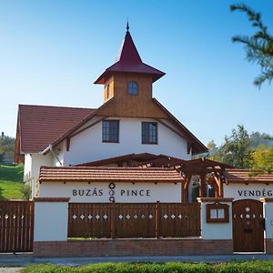 Buzas Pince Vendeghaz Hotel Ecsed Exterior photo