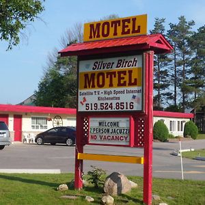 The Silver Birch Motel Goderich Exterior photo