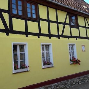 Landhotel Magdeburg Wanzleben-Borde Exterior photo