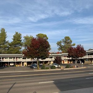 Elmwood Motel Auburn Exterior photo