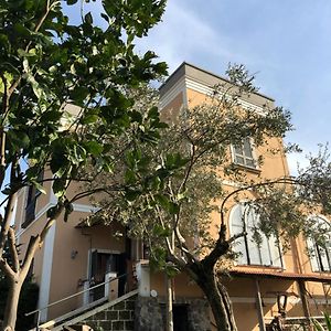 Domus Agricolae Corallina Guest House Torre del Greco Exterior photo