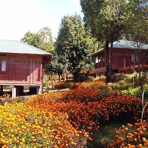 Kalsee Ecolodge Kaski Exterior photo