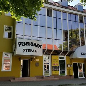 Pensiunea Stefan Bistrita  Exterior photo