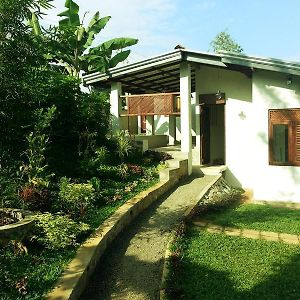 Sedevo Chalets Villa Kandy Exterior photo
