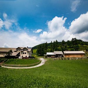 Tourist Farm Pr'Dovar Bed & Breakfast Cerklje na Gorenjskem Exterior photo