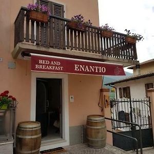 B&B Enantio Belluno Veronese Exterior photo