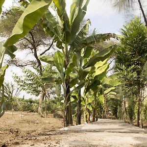 Airport Planet Lodge At Kilimanjaro Airport Boma la Ngombe Exterior photo