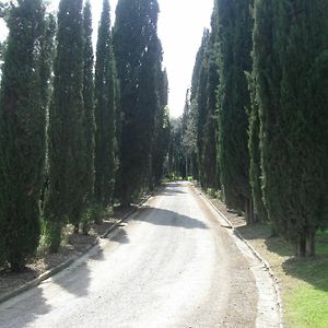 Agriturismo Il Poggiolo Villa Perugia Exterior photo