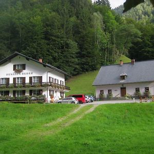 Ferienhaus Mendlingbauer Villa Lassing  Exterior photo