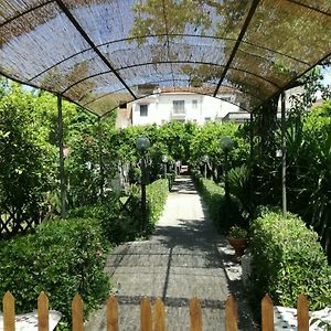 Il Giardino Degli Agrumi Villa Caserta Exterior photo