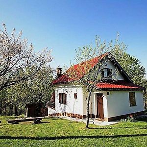 Holiday Home Coprnicka Hisa Skrad Exterior photo