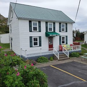 Hillside B&B Twillingate Exterior photo