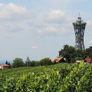 Zidanica Lan Villa Lendava Exterior photo