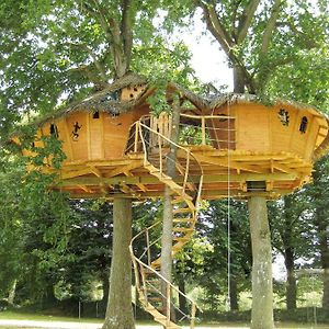 Insolite Dans Les Arbres Les Ormes, Epiniac Bed & Breakfast Exterior photo