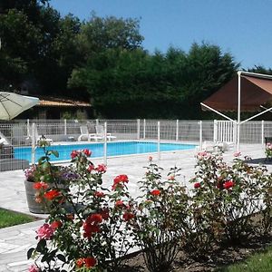 Le Cabassou Du Medoc Hotel Begadan Exterior photo