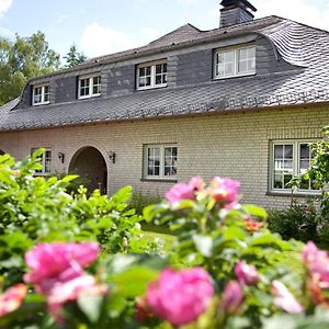 Eifel Relax Apartment Hillesheim Exterior photo