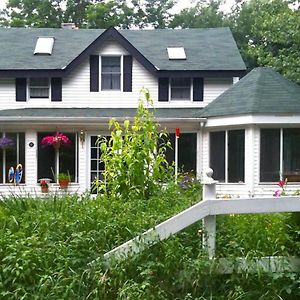 Play All Day - Sleep By The Stream At Night - Swimming Hole Apartment Palenville Exterior photo