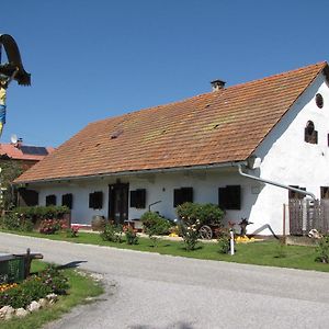 Homestay Kapl Ledinek Exterior photo