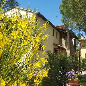 Agriturismo La Ginestrella Guest House Civitella D'Arna Exterior photo