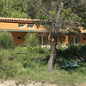 Chambre D'Hote Domaine De Bois Joli Bed & Breakfast Buis-les-Baronnies Exterior photo