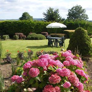 Oldtown Farmhouse Bed & Breakfast Kilkenny Exterior photo