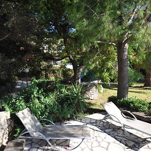 Villa Theodora View Apartments Zeys Agios Georgios Pagon Exterior photo