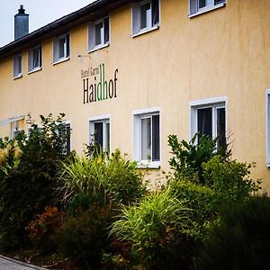 Hotel Garni Haidhof Maxhutte-Haidhof Exterior photo