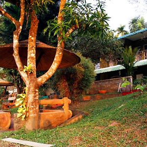 Elephant Pass Ayurveda & Yoga Retreat Hotel Malayattur Exterior photo