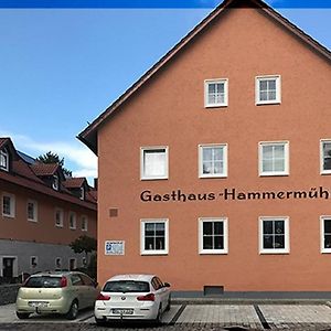 Landgasthof-Hotel Hammermuehle Donaustauf Exterior photo