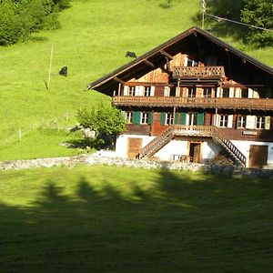 Spacious Swiss Alpine Chalet For Nature Lovers Villars-sur-Ollon Exterior photo