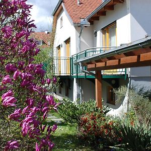 Pension Christina Hotel Weiz Exterior photo