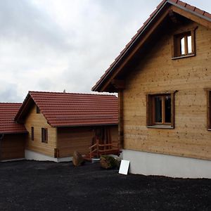 Oberwald Chalets Ferienhaus 2 Breungeshain Exterior photo