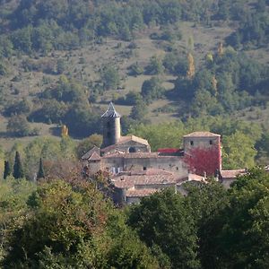 Chateau De Camon Bed & Breakfast Camon  Exterior photo